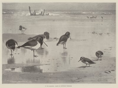En la orilla del mar de Archibald Thorburn